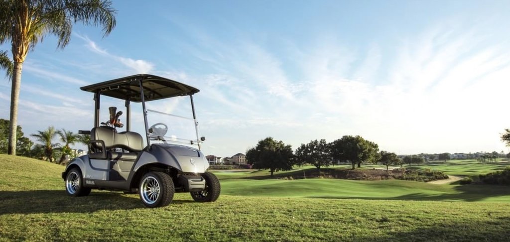 Best Gas Golf Cart
