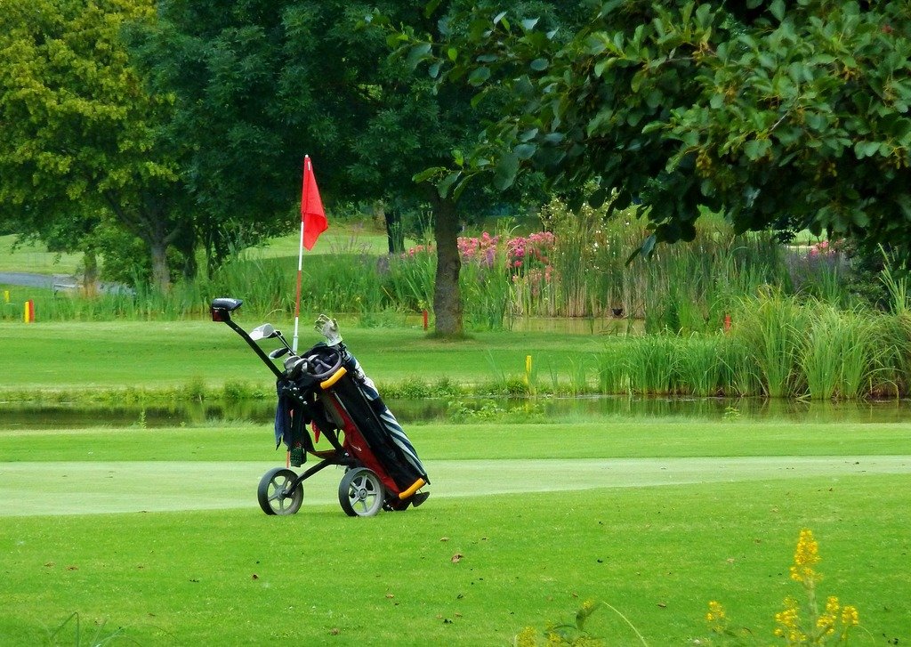 best junior golf push cart