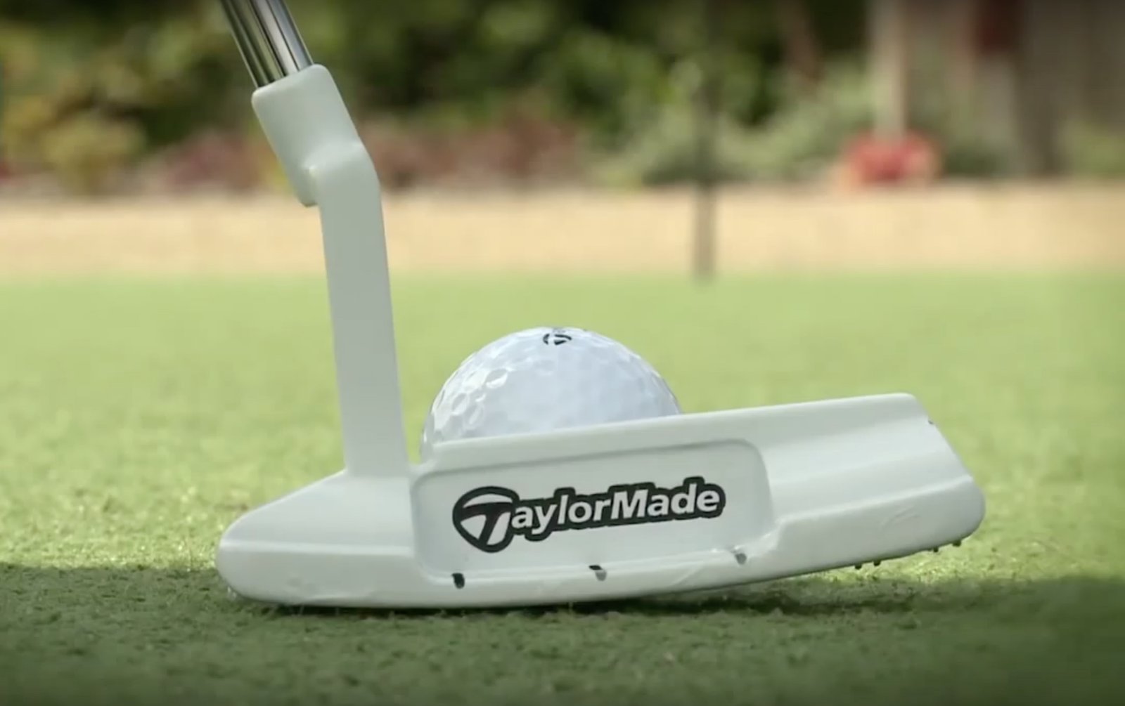real cause of putting yips