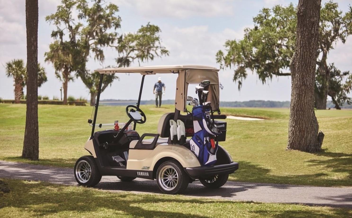 The 5 Best Gas Golf Cart Options in 2020 â Golf In Progress