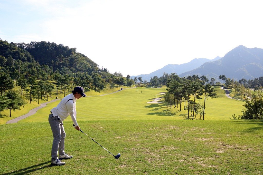 Best Golf Drivers for Distance