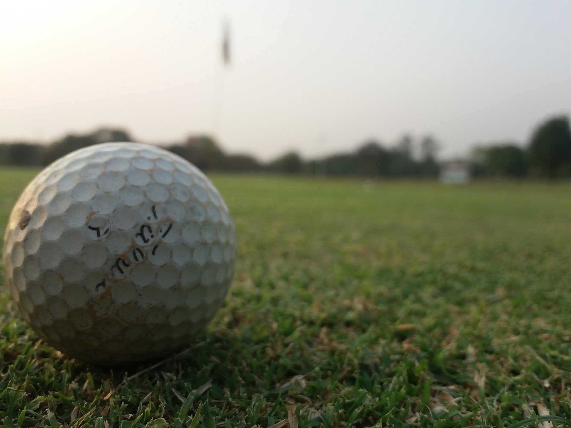 Longest Golf Balls (The Best Golf Balls for Distance) Golf In Progress