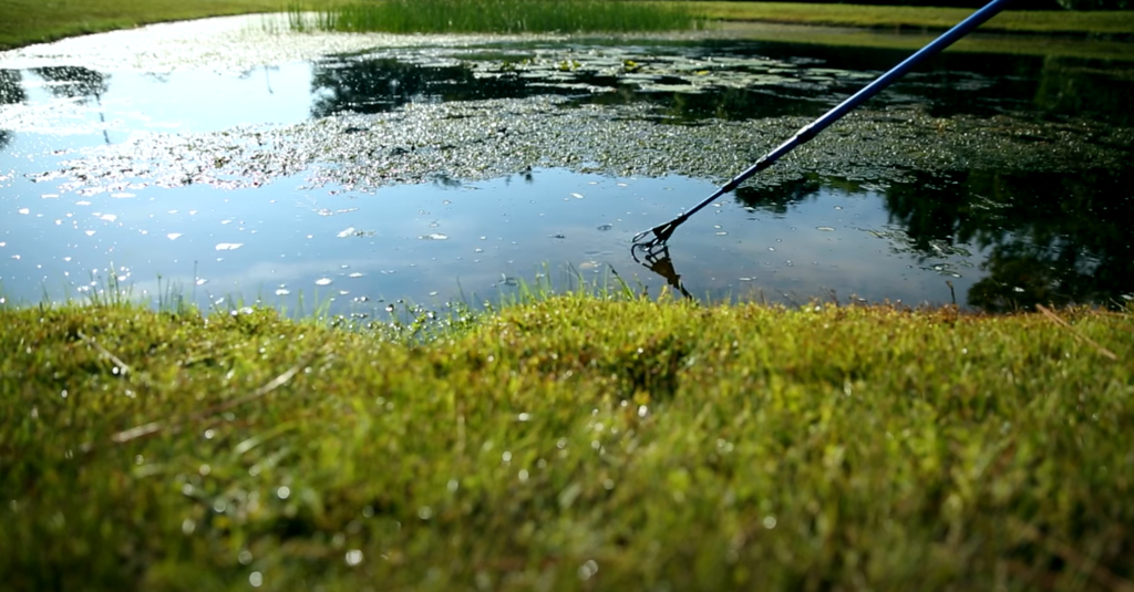 best golf ball retriever