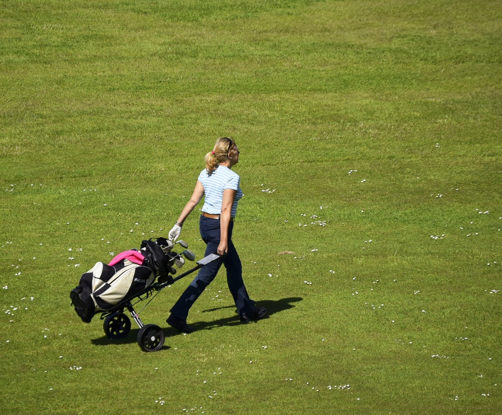 walking golf bag