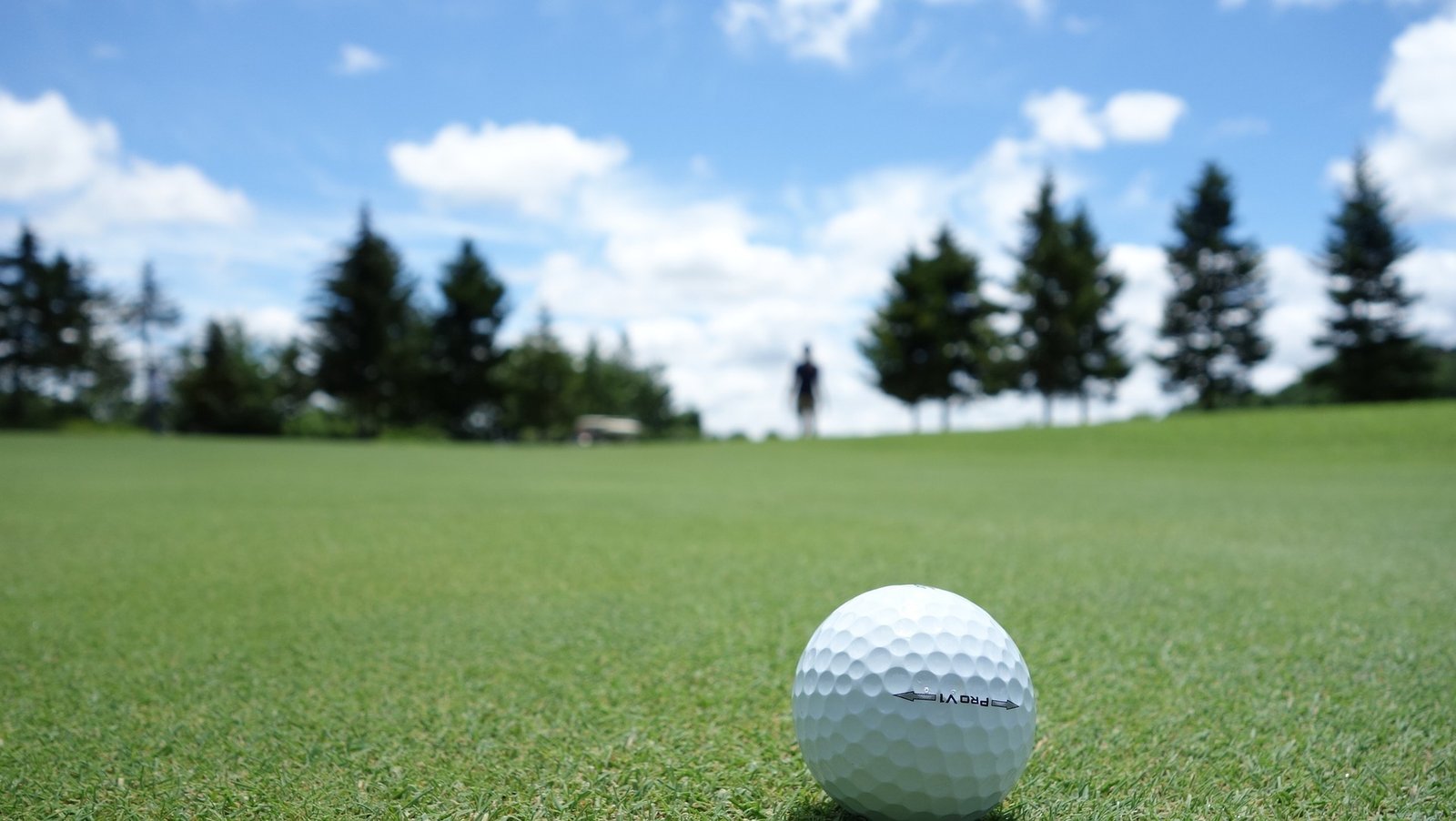 titleist pro v1 golf ball